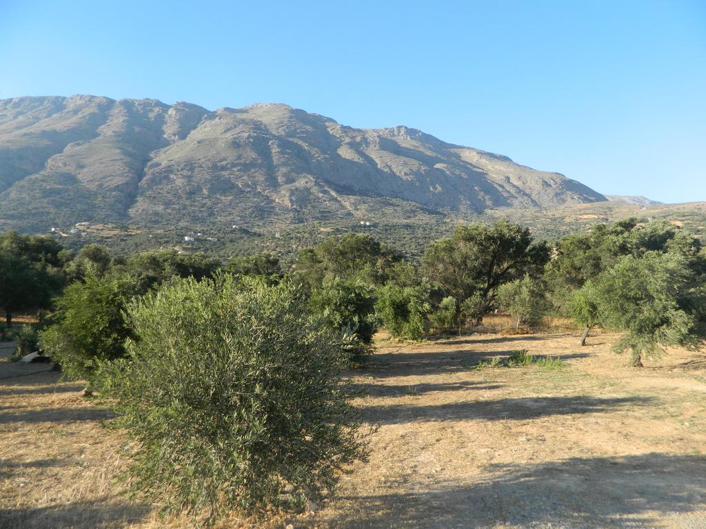 טריופטרה Maria Place מראה חיצוני תמונה