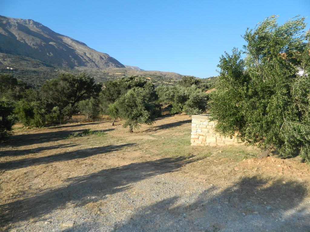 טריופטרה Maria Place מראה חיצוני תמונה
